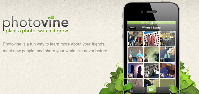 photovine_google photovine_google